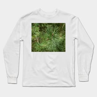 Pine, pine pattern, even as a Christmas motif Long Sleeve T-Shirt